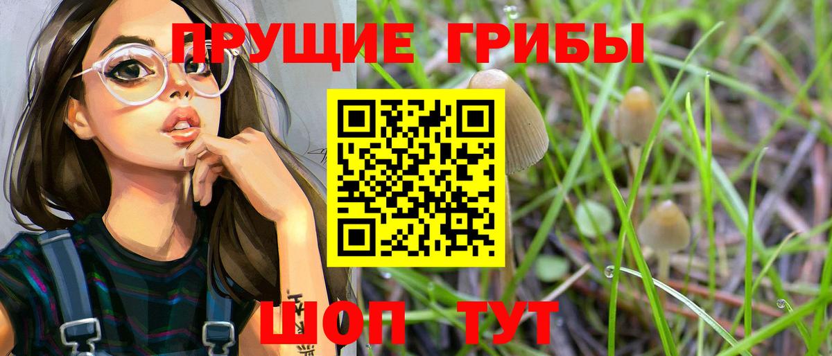 Ноябрьск  Галлюциногенные грибы Psilocybe  Вход с VPN 